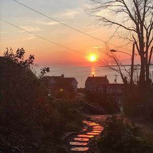 Meet your Posher, Molly